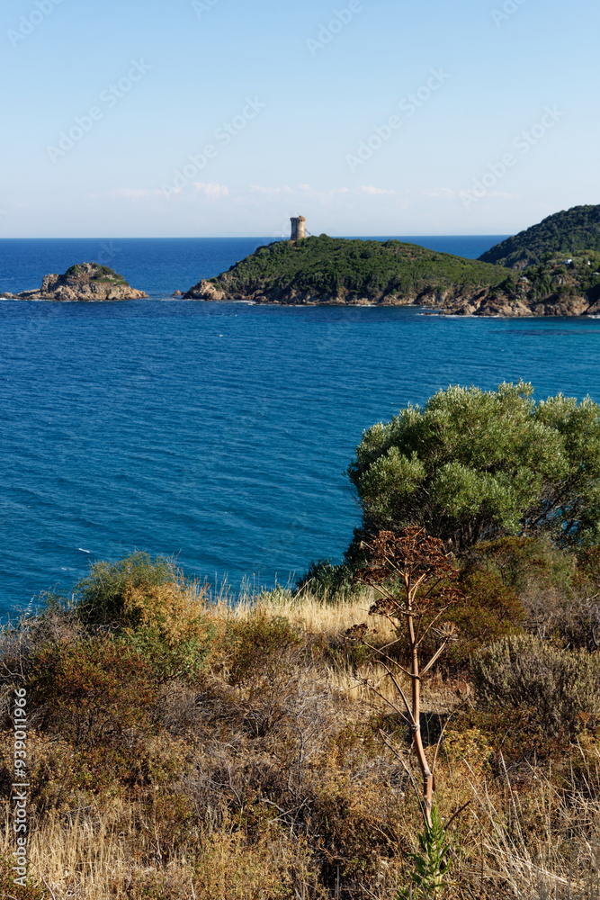 Naklejka premium Korsika - Golf von Porto-Vecchio - Genueserturm