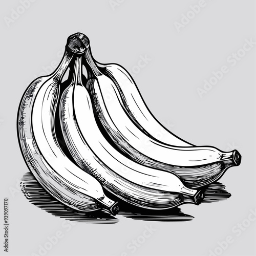 Banana Fruit Food Organic Fresh Juicy Vitamin Healthy Sketch Style
