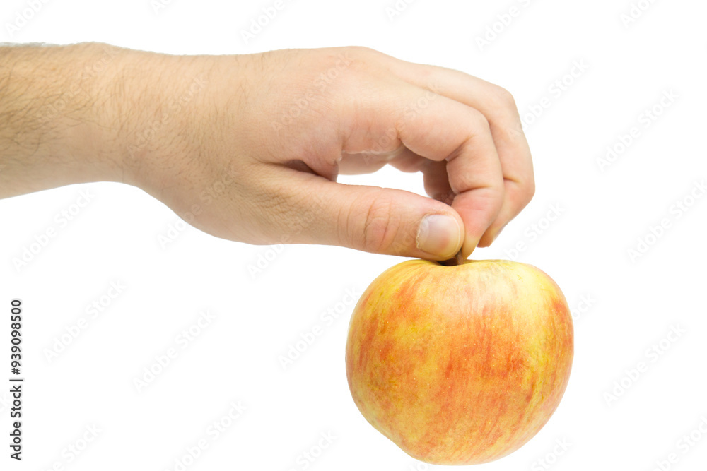 Male hand holding apple isolated on white background Male hand holding apple isolated on white background