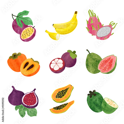 Tropical fruits big set. Vector watercolor illustration