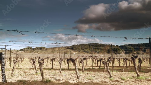 Time lapse of clouds moving over vineyard field in early spring. Aumes commune in the Herault department, Occitanie in southern France.
 photo