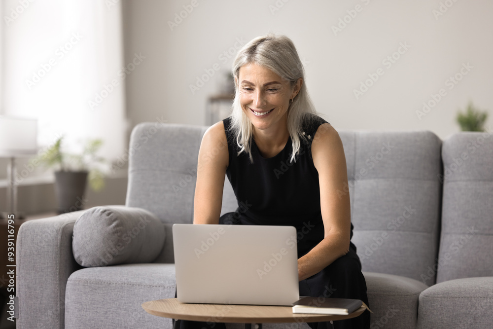 Pretty woman buying goods and services, making order on-line using laptop, sit on sofa typing on wireless computer, e-mailing, solve business remotely. E-commerce and modern technology usage at home Pretty woman buying goods and services, making order on-line using laptop, sit on sofa typing on wireless computer, e-mailing, solve business remotely. E-commerce and modern technology usage at home