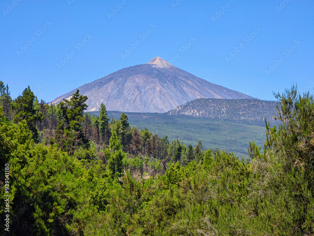 Teide volcano seen from Corona forestal Natural Park, Tenerife island, Spain Teide volcano seen from Corona forestal Natural Park, Tenerife island, Spain