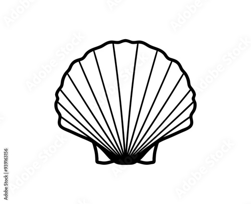 Seashell icon. Vector line shell illustration.