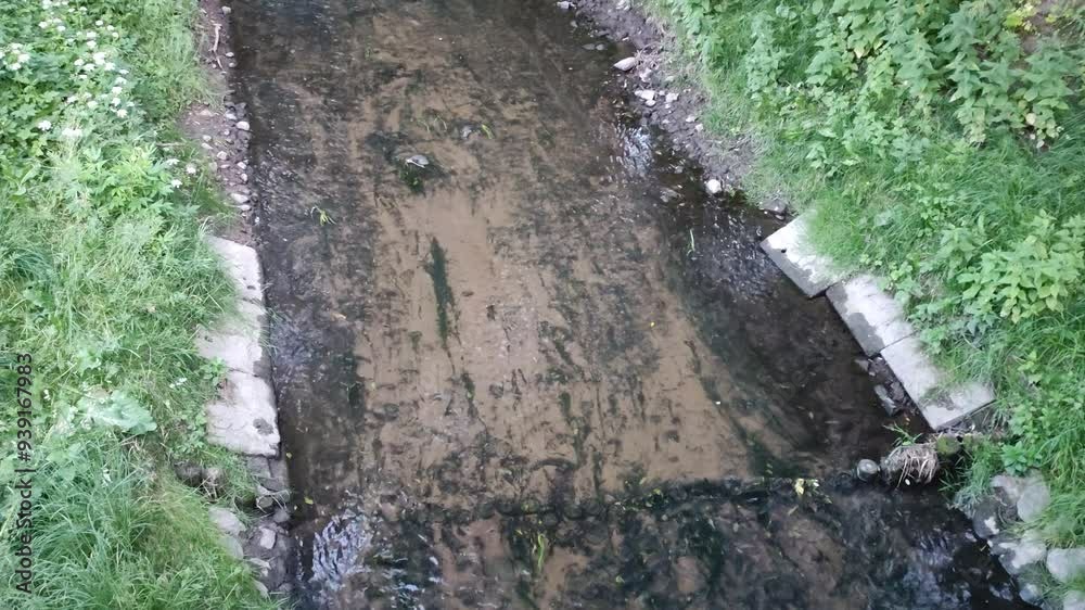 Small river or stream flows. Insects fly around. Small river or stream flows. Insects fly around.