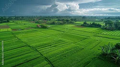 Beautiful Farm Land Formation At Argapura Majalengka Indonesia photo