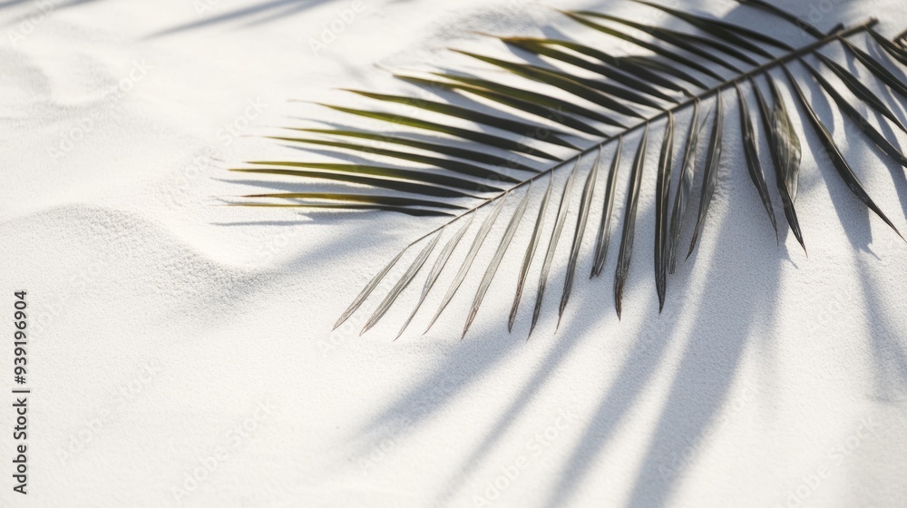 Obraz premium Business, tourism concepts, beach, palm, sea, tropical, tree, ocean, sand, island, sky, water, travel, paradise, nature, summer, vacation, coast, coconut, landscape, sun, caribbean, holiday