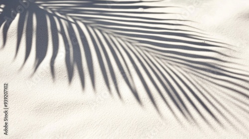 Business, travel concept, fern leaf, projection, background, palm leaf, Shado...