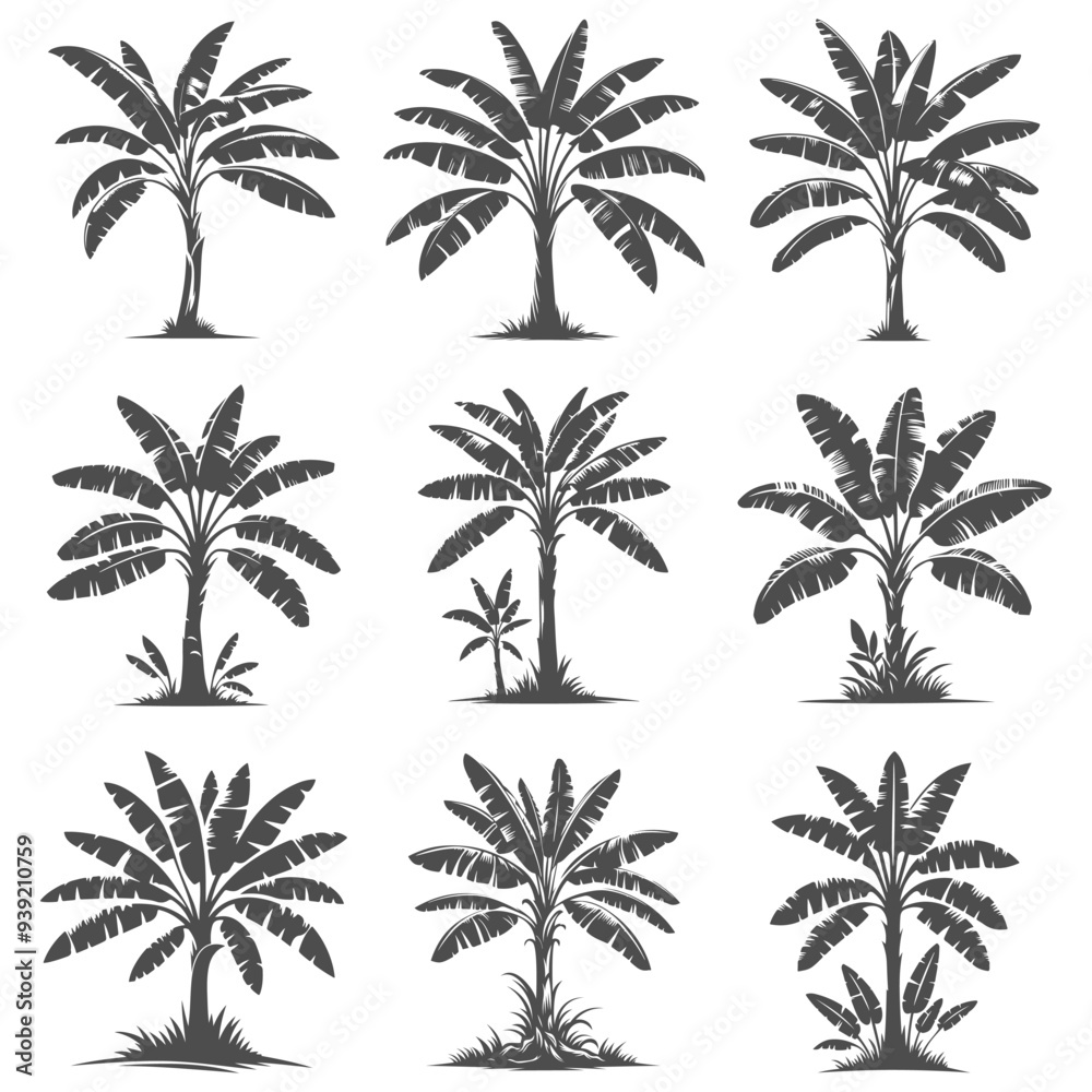 Fototapeta premium Banana Tree Silhouette Set. Vector Icon Art.