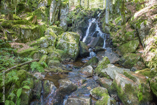 La cascade du Rummel est une chute d'eau du massif des Vosges située sur la commune de Lepuix dans le territoire de Belfort. Très beau site naturel, frais, calme et reposan