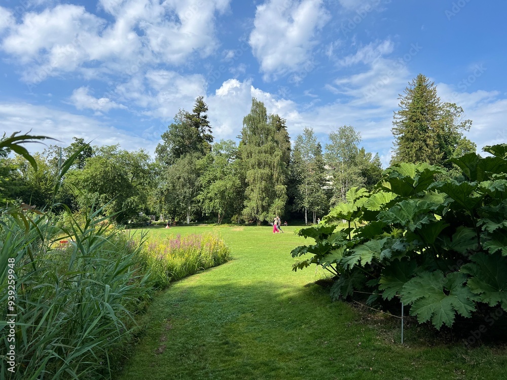 Obraz premium The Botanical Garden of the University of Zurich or Botanischer Garten der Universität Zürich (Botanischer Garten der Universitat Zurich - Botanischer Garten der Universitaet Zuerich)