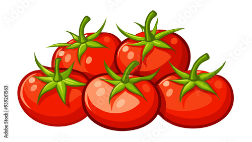 tomatos vector, illustration of tomatos isolated on white background