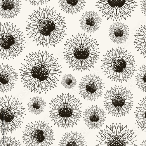 Flowers sunflowers pattern seamless monochrome
