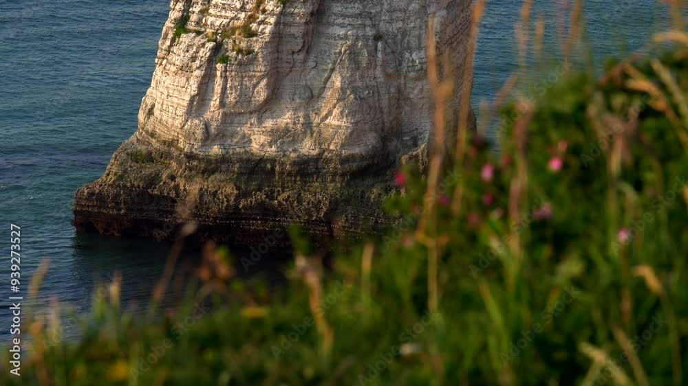 France. Etretat. 06-25-2024. High view stack detail during low tide with grass in foreground. Slow motion 4K France. Etretat. 06-25-2024. High view stack detail during low tide with grass in foreground. Slow motion 4K