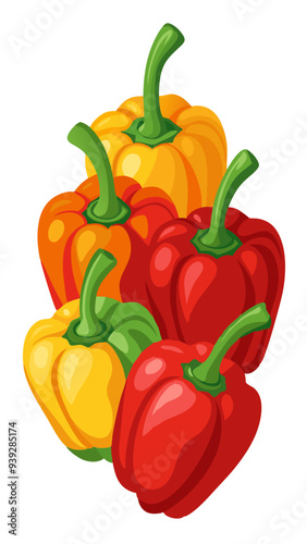 bell pepper vector, illustration of bell pepper isolated on white background