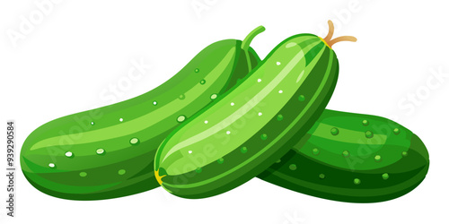 cucumber vector, illustration of cucumber isolated on white background