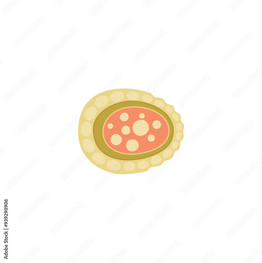 Lysosome Vektor illustration Lysosome Vektor illustration