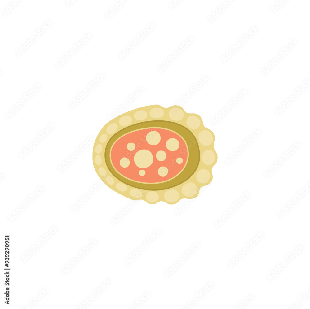Lysosome Vektor illustration Lysosome Vektor illustration