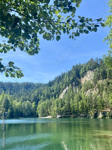 A tranquil lake bordered by dense forests and steep cliffs, with clear blue sky overhead and leafy branches framing the scene in the foreground, epitomizing natural beauty.