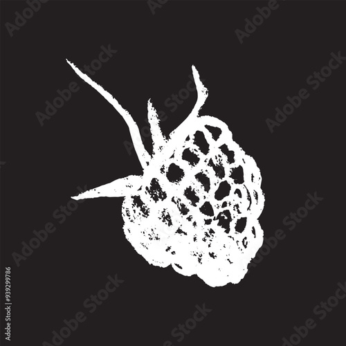 White chalk drawing of Raspberry on black background. Raspberries sign illustration in vector with natural chalk texture. Monochrome Blackberry icon, berry sketch, and Mulberry doodle design.