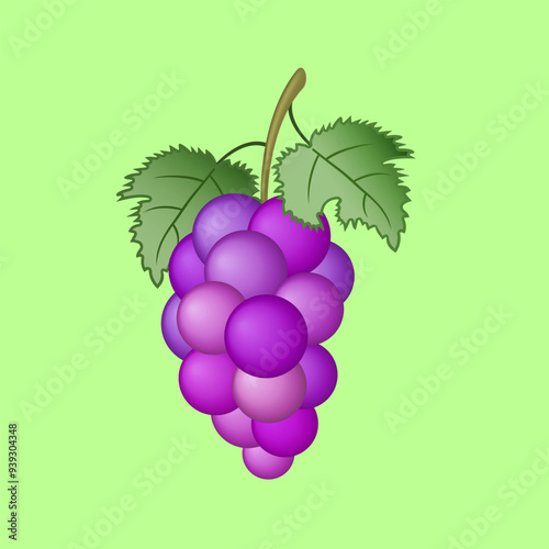 Illustration of Grapes in Full Bloom