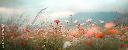 A vibrant field of wildflowers blooms under a soft sky, showcasing nature's beauty and tranquility in every delicate petal.