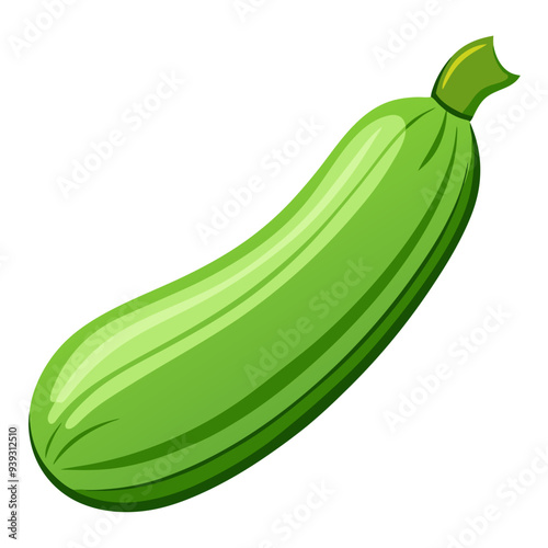 zucchini vector, illustration of zucchini isolated on white background