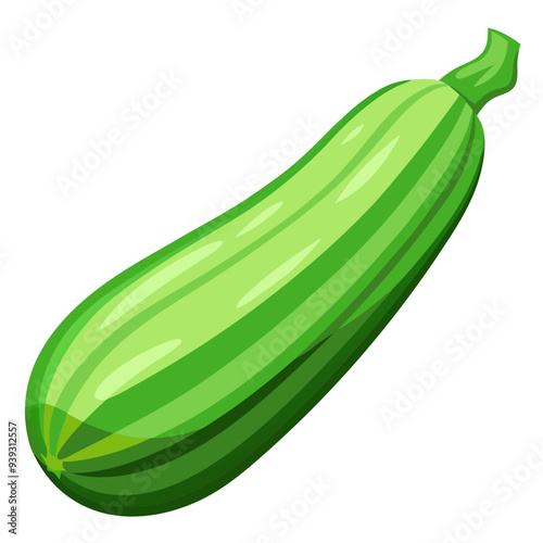 zucchini vector, illustration of zucchini isolated on white background