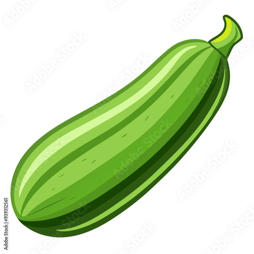 zucchini vector, illustration of zucchini isolated on white background