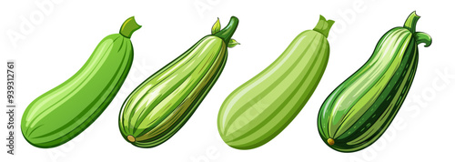 zucchini vector, illustration of zucchini isolated on white background