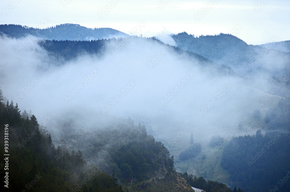 Fototapeta premium Nebel liegt über dem Schwarzwald