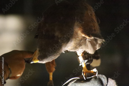 Guidonia Fairyland ft 14