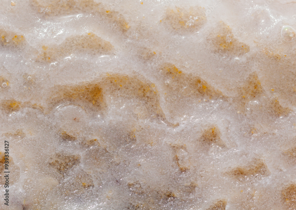 Crystallized salt on the earth Crystallized salt on the earth