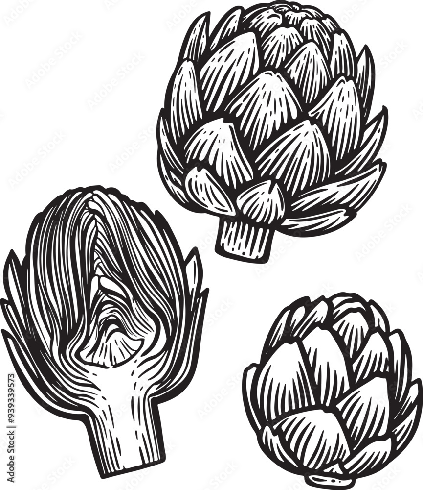 Engraved artichokes hand drawn vector illustration.