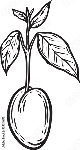 Engraved avocado sprout growing from the seed vector illustration.