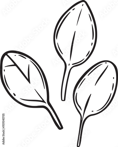 Three spinach leaves vector illustration.