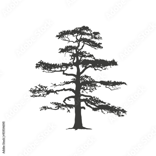 A tree silhouette is a striking, dark outline of a tree against a lighter background, capturing the tree's intricate branches and form in a simple, elegant shape.