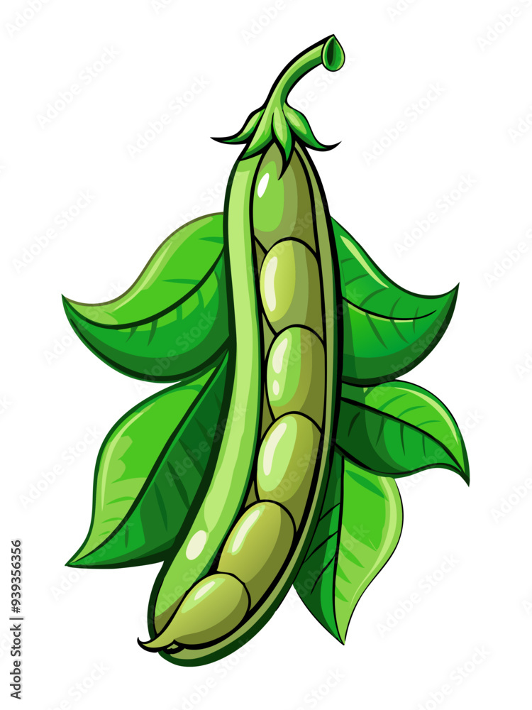 green bean vector, illustration of green bean isolated on white background green bean vector, illustration of green bean isolated on white background