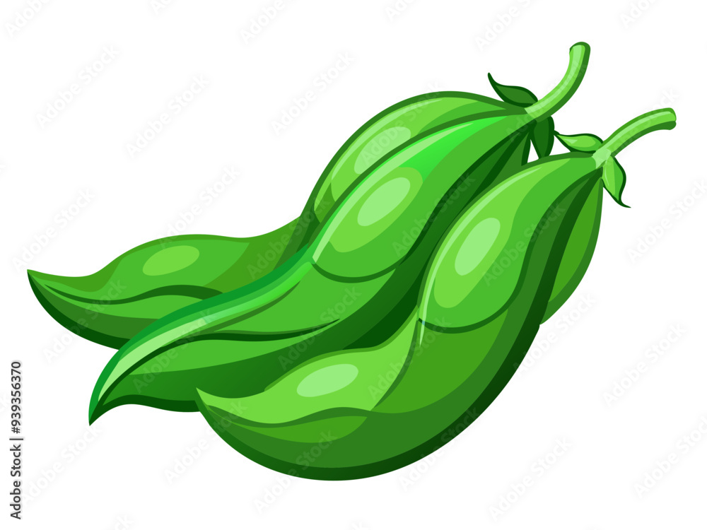 green bean vector, illustration of green bean isolated on white background green bean vector, illustration of green bean isolated on white background