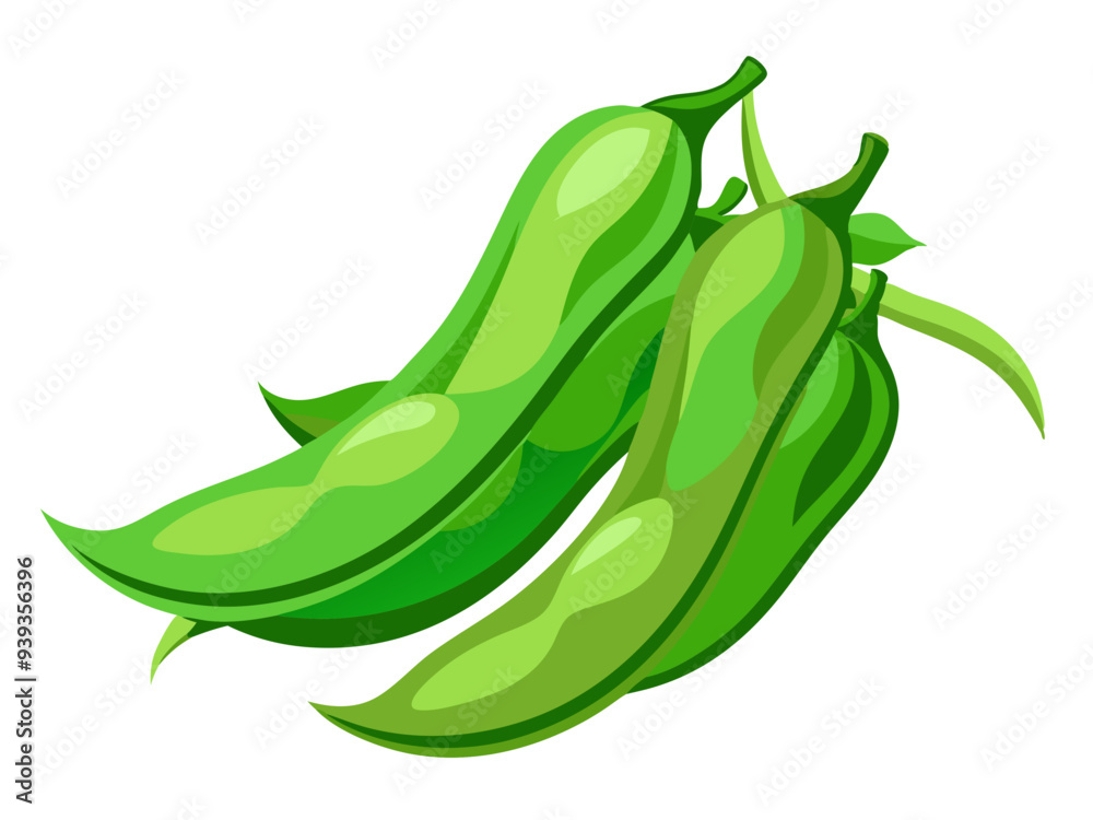 green bean vector, illustration of green bean isolated on white background green bean vector, illustration of green bean isolated on white background