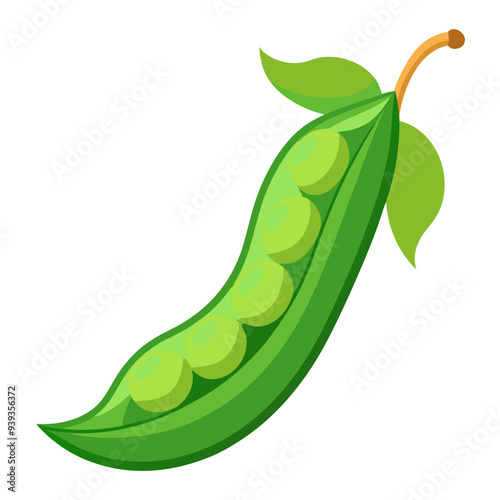 green bean vector, illustration of green bean isolated on white background