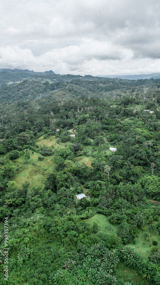 Fototapeta premium Aerial and vertical shot of mountains with green trees and bushes in the middle of the Caribbean mountainous area of ​​the Limon province in Costa Rica