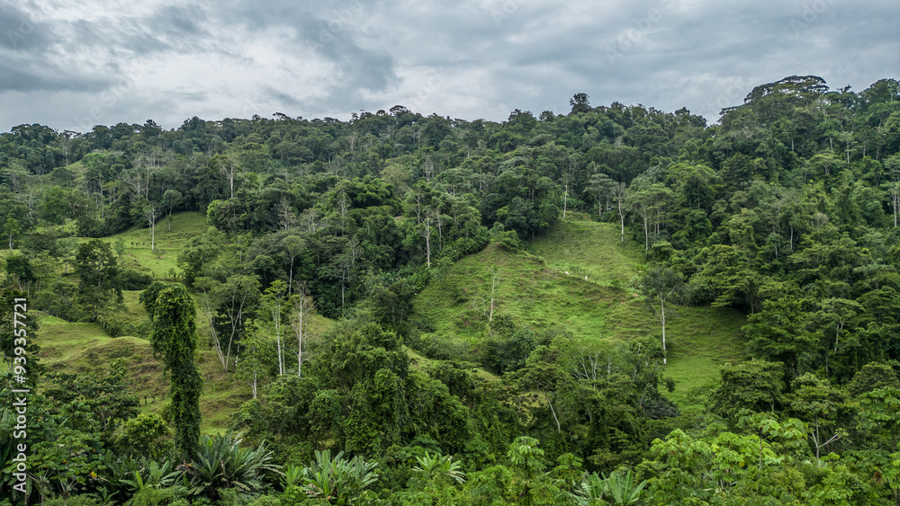 Aerial view of a reforested area of trees in the middle of the Caribbean mountainous area of the Limón province in Costa Rica Aerial view of a reforested area of trees in the middle of the Caribbean mountainous area of the Limón province in Costa Rica