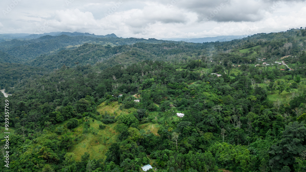 Obraz premium Aerial shot of rural area with green fields and trees and ravines in the middle of the Caribbean mountainous area of ​​the Limon province in Costa Rica
