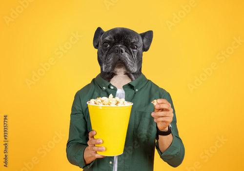 A person enjoys a fun moment while holding a large bucket of popcorn. The unique twist is the person head is replaced by a French Bulldog head, creating a humorous and playful atmosphere photo