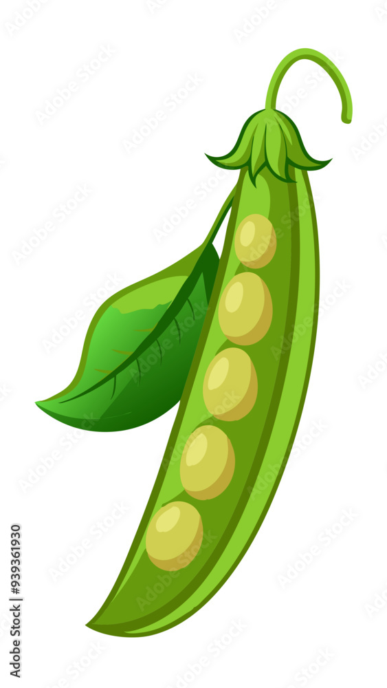 green peas, pea vector, illustration of pea isolated on white background green peas, pea vector, illustration of pea isolated on white background