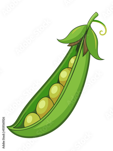 green peas, pea vector, illustration of pea isolated on white background