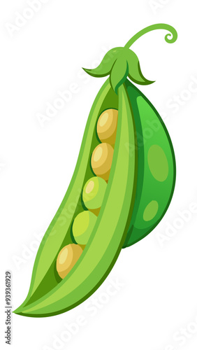 green peas, pea vector, illustration of pea isolated on white background