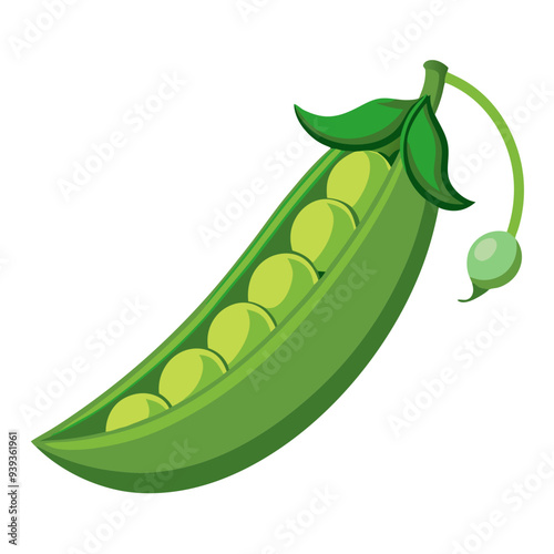 green peas, pea vector, illustration of pea isolated on white background