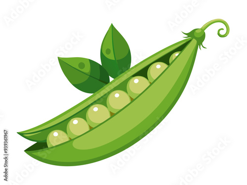 green peas, pea vector, illustration of pea isolated on white background